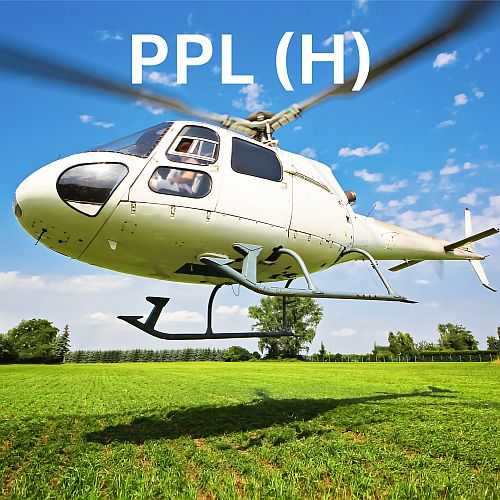 PPL H